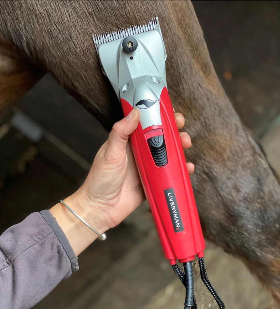 Thumbnail: BLACK BEAUTY - Liveryman Clippers