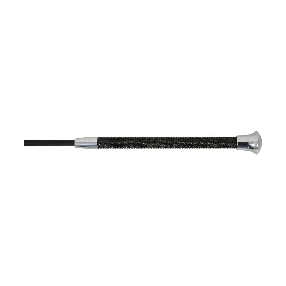 HySCHOOL Diamante Stoned Schooling Whip
