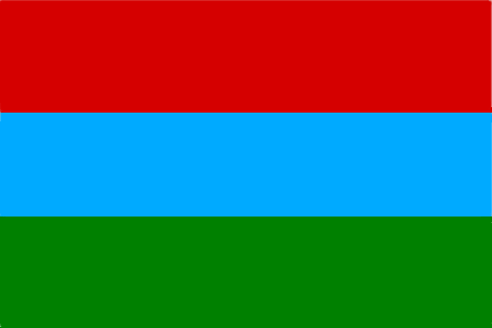 flag450.gif