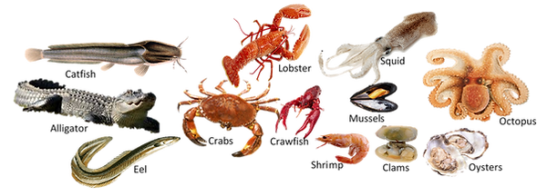 Popular Unclean Seafood.png