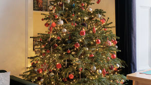 A beautifully decorated Christmas tree