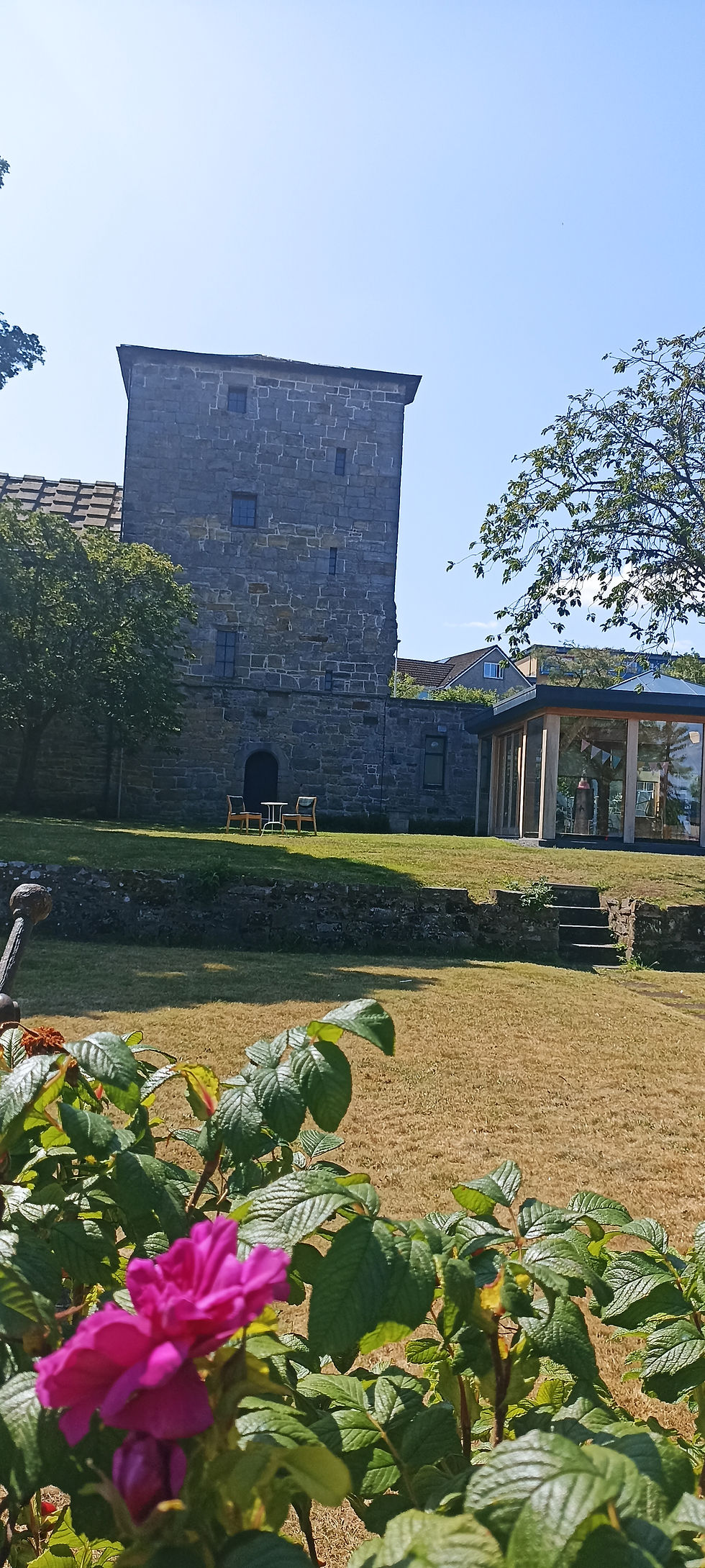 Photo of back gardens of Priory Church, South Queensferry, in the summer with pink flowers in the foreground