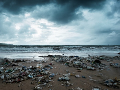 Ocean waste recycled : roller blinds