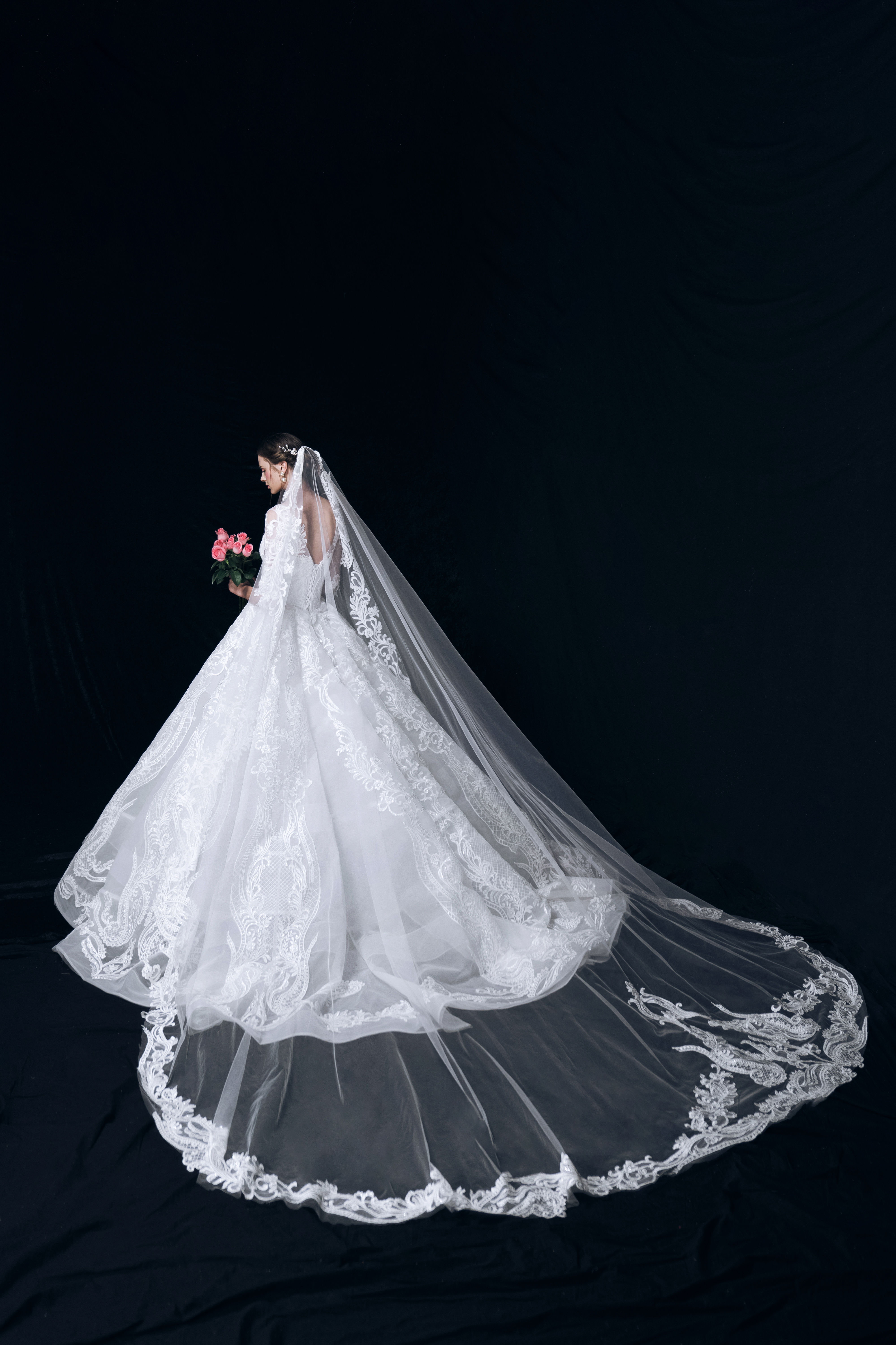 Princess 5 point sleeve Wedding Dress/A-line tail huge veil