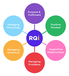 RQi (Resilience Quotient Inventory)