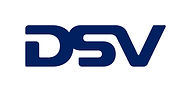 DSV logo.jpg