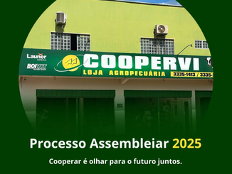 Processo Assembleiar 2025
