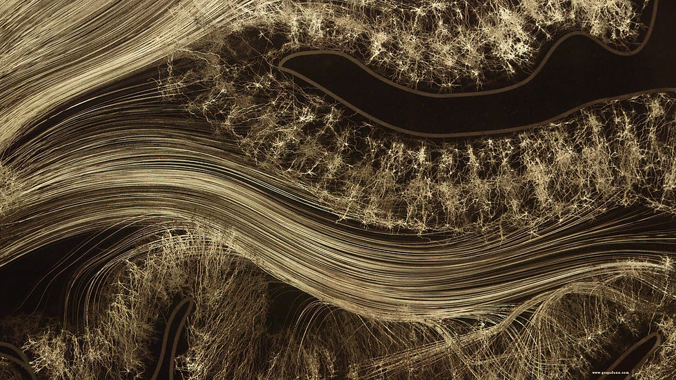 Visual Cortex detail