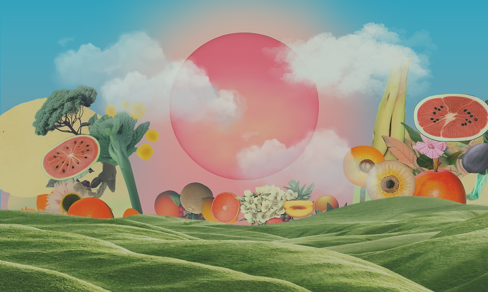 R2F banner Website BG 2.png