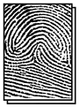 fingerprint