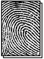 fingerprint