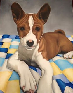 Basenji