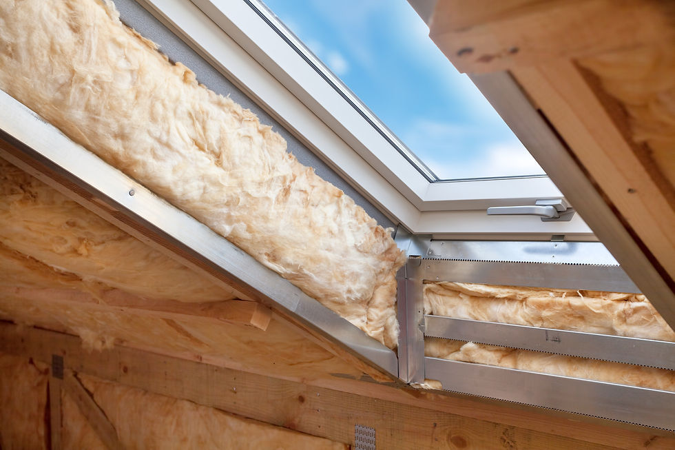 sustainable insulation used in home renovation