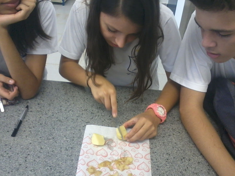 2013-05-20 10.23.15.jpg