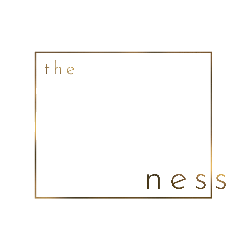 TheNess_Animated_Transparent.gif