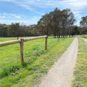 Rural Farm Fencing.jpeg