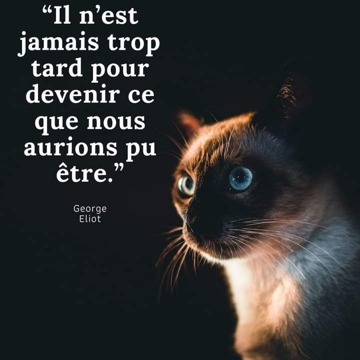 Un texte qui dit il n'est jamais trop tard pour devenir ce que nous aurions pu être