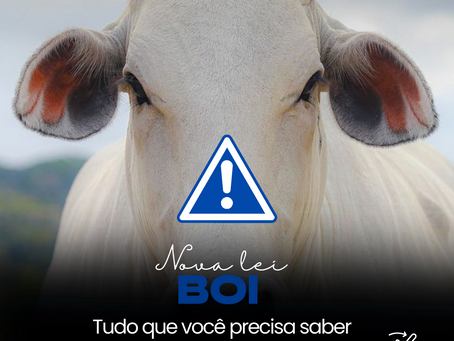 Nova Exigência de Relatórios para Pequenos Empresários em 2024: Informações sobre Proprietário 