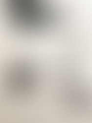 A Scavenger's Prospective of San Francisco (Book Sketches)