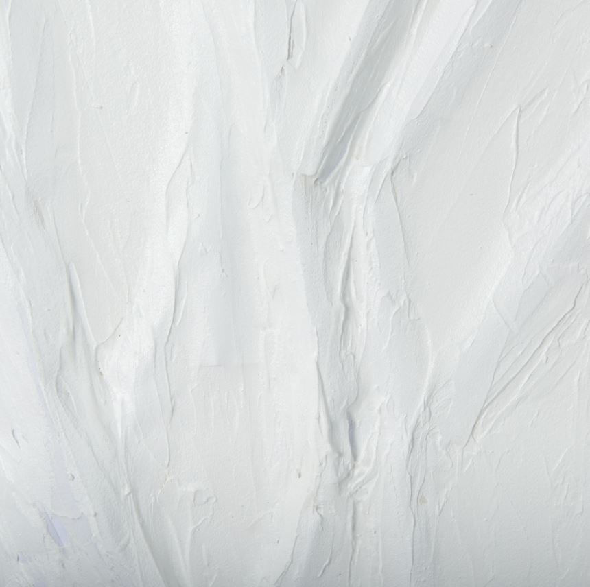 Thumbnail: White Vines Wall Art