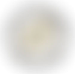 Council Meeting Report - 2/17/26