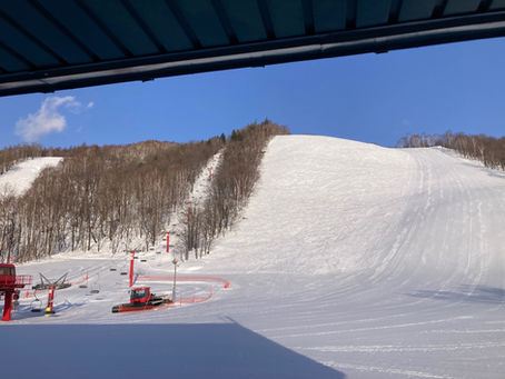 事務所の窓から 2026.2.23(月)