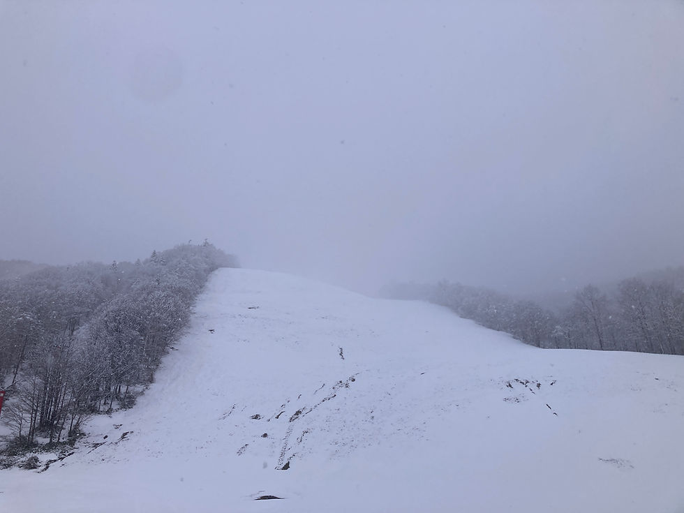 『ひさしぶり～』な朝　2026.4.12