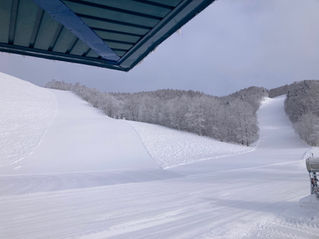 事務所の窓から 2026.2.16(月)