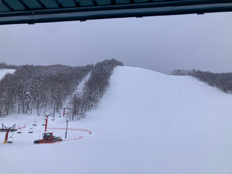 事務所の窓から 2026.2.15(日)