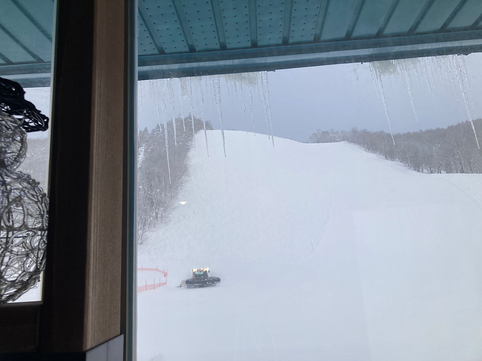 事務所の窓から 2026.2.9(月)