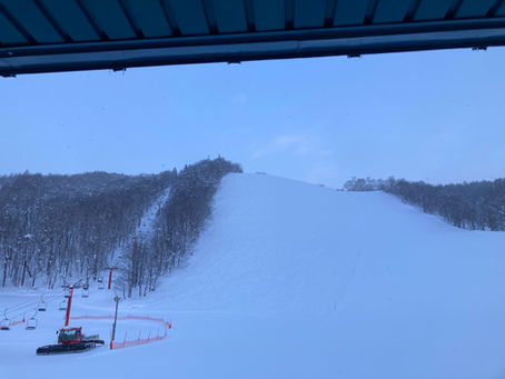 事務所の窓から　2026.1.31（土）