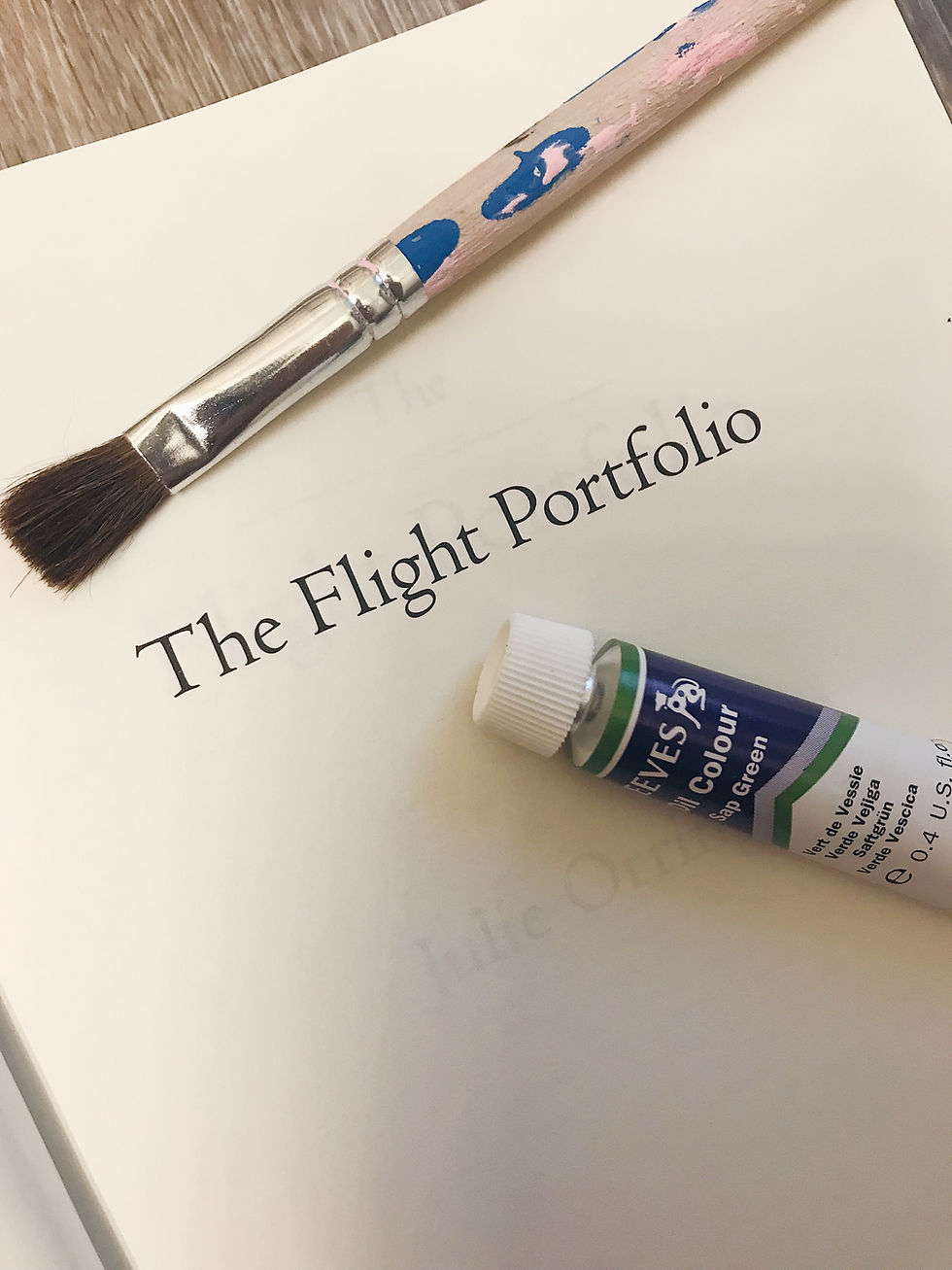 The Flight Portfolio by Julie Orringer