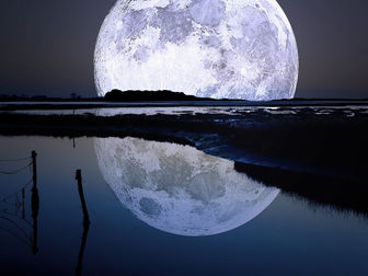 La Luna Llena en Libra
para cada signo