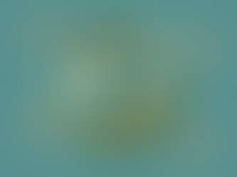 Luna Nueva en Cáncer 2025