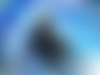 LUNA NUEVA EN PISCIS