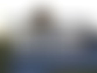 LUNA NUEVA EN ARIES: Avanzar, hacer y ser