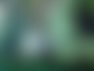 LUNA LLENA EN VIRGO: Experiencia física y sabiduría espiritual