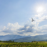 Light in the Sky