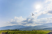 Light in the Sky