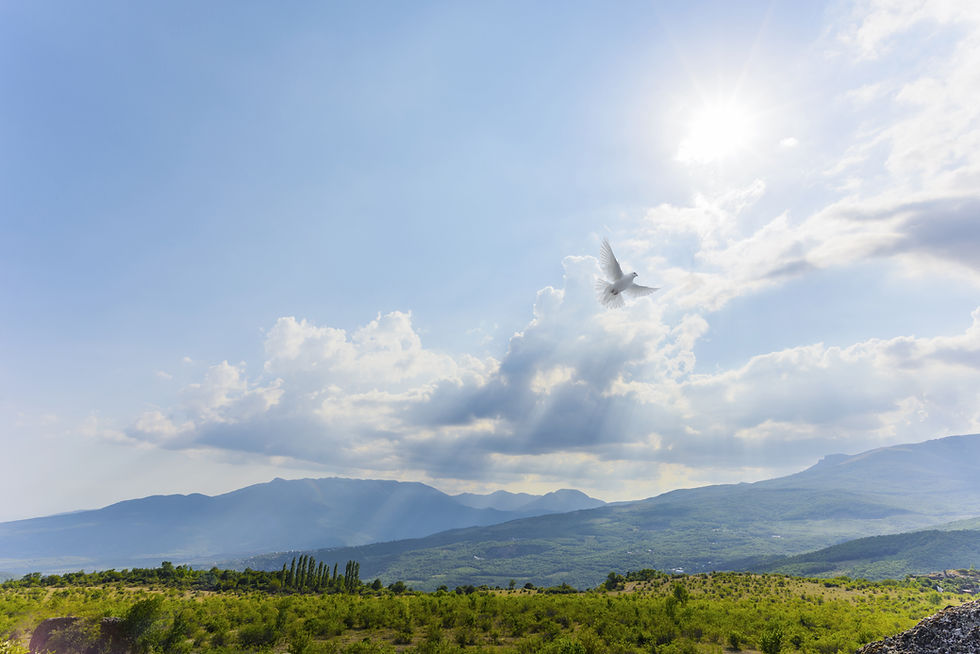 Mountain Scene with Bird