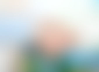 Hansa Licenses Imlifidase to Sarepta as Gene Therapy Pre-treatment for DMD, LGMD