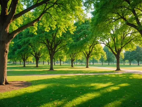Uncovering the Unspoken: Navigating Mental Health Stigma for Australians with Disabilities