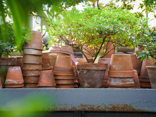 From Earth to Earth: Embarking on an Organic Ecological Journey with Vintage Terracotta Pots
