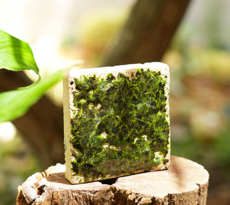Handmade Glazed Terracotta Tiles -Green, weathered texture