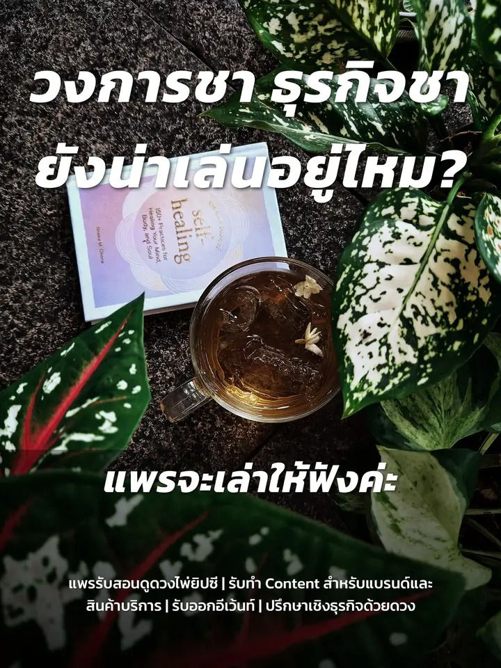หากกระแสเรื่องชา กลับมาบูมในตอนนี้ ถามว่าควรจะกระโดดเข้าไปแจมหรือลงทุนในธุรกิจหรือไม่ อยากให้ลองอ่านมุมมองตรงนี้ก่อนที่เราจะดูดวงกันนะคะ
.
.
ตอนนี้อาจจะเริ่มเห็นว่ามีสายชา speciality และ เริ่มเข้าสู่นับจากมัทฉะเข้ามานั้นมันก็ทำให้โอกาสต่างๆรวมไปจนถึงการแสวงหาเพื่อความแตกต่างนั้นเยอะขึ้นมากๆ วงการนี้อีกสักพักก็จะเหมือนวงการกาแฟค่ะ ที่ซักประมาณเกือบๆ 10 ปีก่อนเรากำลังให้ความสนใจกับกาแฟพิเศษไม่ว่าจะเป็นเอธิโอเปีย เกอิชา กัวเตมาลาหรืออะไรก็แล้วแต่ที่เราจะไปประมูลและสรรหาอยากให้คนได้รู้จักมากขึ้น(วันนี้เราจะไม่คุยเรื่องหลังบ้านนะคะ) ซึ่ง กระแสมันอาจจะมาในช่วงสุดท้ายประมาณโควิดและหลังจากนั้นจะเป็นจากน้องๆเจนใหม่ หรือคนที่เพิ่งเข้าสู่วงการกาแฟและคนที่พึ่งได้ไปเปิดโลกกับงานอีเว้นท์กาแฟต่างๆเลยทำให้มันเป็นสิ่งที่ว้าวและรู้สึกเป็นสิ่งที่ใหม่
.
.
มันจะเป็นเรื่องของความชอบและความสะดวกของแต่ละคนที่ไม่เหมือนกัน มันจะขึ้นอยู่ที่รายได้และสิ่งที่ตอบสนองเราในแต่ละวันด้วย พูดเป็นลูปง่ายๆแบบนี้
1. เราอาจจะเพิ่งรู้จักและชอบเลยไปร้านไปบ่อยๆแน่นอนว่าขั้นต่ำอาจจะมีงบประมาณ 500 บาทในการกินกาแฟพิเศษ
.
2. พอเราเริ่มเจอสังคมหรือโอกาสอะไรต่างๆมากขึ้นเราจะเริ่มอยากชงเองเพื่อความสะดวกเพื่อการที่อยากใช้เวลาอยู่กับตัวเองที่บ้าน
.
3. และเมื่อเราเริ่มเจอตลาดที่กว้างมากขึ้นเพราะโลกของเราเปิดมากขึ้นก็เลยจะยิ่งทำให้คุณจะหาตัวช่วยที่ดีที่สุดที่ทำให้ราคามันถูกลงลดต้นทุนหรือบางคนก็จะเห็นโอกาสตรงนี้เลยเอาไปเปิดร้านหรือเปิดเป็นกิจกรรมเล็กๆที่ทำให้มีรายได้นั่นเอง
.
4. สิ่งที่จะเจอในข้อ 4 คือกลุ่มคนจากข้อที่ 3 เริ่มออกมาทำเองเป็นจำนวนที่มากขึ้นเราก็จะเริ่มเห็นการมีร้านการมีตัวเลือกใหม่ๆมากขึ้นในวงการตรงนี้ หรือบางคนมีงบถึงหน่อยก็ลงทุนทำอะไรพิเศษไปเลยเพิ่มลงคู่อ่ะเพิ่มโอกาสอะไรต่างๆภายใน จริงจังมาสุดเป็นเจ้าของฟาร์มสวน ก็มีเยอะแยะเลย
.
5. และมันก็จะกลับมาสู่ที่หลุดเดิมๆค่ะในเมื่อลูกค้ามีตัวเลือกที่เยอะมากขึ้นหรือแม้แต่ที่เขาชงกินเองได้แล้วนั้นจะยังต้องการรออยู่ไหมซึ่งอันนี้ก็จะอยู่ในหมวดหมู่ของเรื่องหลังบ้าน
.
6. พอเรามาตกตะกอนเราจะรู้ดีๆว่าเราเสียเงินไปเพื่ออะไร เช่น เราชอบบริการที่ประทับใจเราชอบรสชาติที่คงที่หรือเราแค่จ่ายเงินเพื่อซื้อภาพลักษณ์ในทางโปรไฟล์ Social Online มันก็จะมีหลายมุมมากๆเกี่ยวกับการที่เราจะจ่ายเงินสำหรับสินค้าและบริการอะไรบางอย่าง หรือแม้แต่คุณอาจจะแค่อยากลองเพื่อเรียนรู้เฉยๆกับตัวเองก็ได้
.
7. ระวังบางทีเป็นเพียงการปั่นกระแสเฉยๆนะคะของเซเลบ ดารา อินฟลู เหมือนจู่ๆมีสตอรี่ ได้เข้าไปกินแล้วฟิลกู้ดเอาสังคมมาก จริงๆเป็นเพียงเครื่องมือนึงที่ทำให้มีทางเลือก ดูแตกต่าง กิมมิค สุดท้ายอยู่ที่ผู้บริโภคหรือคนซื้อค่ะ #ซื้อมาแค่ทำcontent ถ่ายรูปสวยๆ อยู่ที่จะพูดเอากลับมาตีความหรือนิยามใหม่ว่ายังไง?
.
8. แล้วถ้าอย่างนั้นพอจะมีเวลาประมาณเท่าไหร่ล่ะที่พอจะยังกระโดดเข้าไปเล่นหรือทดลองใช้ดูก่อนว่าชอบไหม แพรให้กลมๆอยู่ที่ประมาณ 2-5 ปีค่ะ ถ้าไม่ได้มีสิ่งใหม่หรือสิ่งอื่นมาแทนที่และถ้าไม่ได้มีเซเลบหรือดาราอินฟูมาปั่นกระแสอีก
.
9. เพราะกระแสมันเริ่มมาจากที่มาในช่วงประมาณโควิดรวมถึงหลายๆคนที่ชอบศึกษาหาข้อมูลจะรู้ว่ามันได้คาเฟอีนที่เยอะกว่า บวกกับคนเริ่มหาตัวเลือกอื่นๆที่ลดต้นทุนในการกินกาแฟ หรือบางคนอยากเข้าสังคมคาเฟ่แต่กินกาแฟไม่เป็นหรือกินกาแฟไม่ได้ตัวเลือกเลยจะเป็นมัทฉะที่ทำให้เข้าถึงง่าย แล้วก็เริ่มๆขยับไปชาญี่ปุ่น ชาจีน หรือมีทุนหน่อยก็รับนำเข้าเป็นตัวแทนจากต่างประเทศ
.
10. ยุคกาแฟที่เริ่มมา จะเป็นช่วง "ลาเต้อาร์ต" แล้วค่อยๆขยับเป็นกาแฟพิเศษ และไปโรงคั่ว รวมถึงเริ่มลุยๆไปต้นน้ำคือดีลกับฟาร์มโดยตรง ซึ่งแพรทันช่วงลาเต้อาร์ตปลายๆค่อนกาแฟพิเศษ
.
กลับมาต่อที่วงการชาเหมือนกันค่ะ เอาเข้าจริงๆแพรเริ่มเล่นประมาณปี 2015 ได้ มันก็จะหลายๆเหตุผลแล้วก็มีเพื่อนหรือว่าคนรู้จักอยู่ในวงการนี้บ้างก็เลยทำให้เหมือนเราหันมามองคุยกันว่ากว่าจะมาถึงโอกาสตรงนี้ค่อนข้างช้าพอสมควรและก็ดีใจที่เหล่าอินฟลูช่วยทำให้วงการชามันกลับมารันได้อีกครั้ง
.
.
แต่แน่นอนว่าเป็นเรื่องปกติค่ะที่อะไรเป็นกระแสสักพักคนก็จะเริ่มเบื่อ คนเราก็จะกลับไปกินอะไรเดิมๆหรือสิ่งที่มันสะดวกใจสบายใจทั้งการได้รับในบริการรวมไปจนถึงการที่เราได้ใช้เวลาอยู่กับตรงนั้น
.
สิ่งที่ มันจะต้องคิดพิจารณาอีกทีคือเป็นเรื่องของแบรนด์ใหญ่และแบรนด์เล็กมากกว่ามันก็จะเหมือนตลาดสุกี้ตอนนี้ที่เริ่มเจอว่าหลายๆคนที่เป็นแบรนด์เล็กเริ่มทอใจและปิดกิจการไปเยอะพอสมควรเพราะการแข่งขันของแบรนด์ใหญ่หรือในทุนมันเดือดสูง
.
.
เผื่อรองไว้ใช้พิจารณาหรือผ่านมาอ่านนะคะว่าวงการชาหรือธุรกิจชาอย่างน่าเล่นอยู่หรือไม่ เพื่อที่จะได้ประกอบกับการตัดสินใจด้านการลงทุนเป็นธุรกิจนะคะ
.
.
รวมไปจนถึงลองไปปรึกษาร้านหรือว่าแบรนด์ที่เขามีอยู่สักโดยประมาณ 8 ปีที่ผ่านมาจริงๆมีไม่กี่ร้านนะคะที่ยังอยู่หรือถ้าจะเอานานกว่านั้นหน่อยลองไปปรึกษาหรือว่าลองไปดูเกี่ยวกับแบรนด์ที่เปิดมาเป็น 10 ปีในช่วงที่เป็นยุค New age ตัดทางโซนเยาวราชไปนะคะ ตรงนั้นความเก๋า ความคูลของเค้ามีมาจะ100ปีแน่ๆและฝั่งนั้นเองมี Rebrand สำหรับ gen3-4 เรียบร้อยแล้ว ที่ทำให้มุมมองมันน่าสนใจ ทันเทรนด์มากขึ้น
.
ps. ชาแพงกว่าทองมีอยู่จริงค่ะ , ใครจะเล่นตรงนี้ต้องกระเป๋าถึงนิดนึงนะคะ
.
ยกตัวอย่าง เคยกินดอกไม้ประเภทหนึ่ง ซึ่งกิโลกรัมละ 15,000 บาท หรือ ชาบางตัวที่ได้จิบแค่ประมาณ 5 กรัมแต่กิโลกรัมละ 100,000 บาท มีอยู่จริงค่ะและยิ่งเก่ายิ่งแพง
.
#ทั้งหมดนี้เป็นความเห็นส่วนตัว และมันไม่มีอะไรตายตัวหรือเสมอไป แพรที่อยู่วงการนี้มาเข้าปีที่10 และได้คุยกับผู้ประกอบการหลายๆคน และผู้ซื้อหลายๆคน และได้มีโอกาสเจอลูกค้าสายธุรกิจ นักลงทุน
.
.
#วงการชา #ชาน่าลงทุน #ธุรกิจชา #แบรนด์ชา #สร้างแบรนด์ #ดูดวงธุรกิจ #แพรควีนดาบ #ดวงรายวัน #ดูดวง #ดวง12ราศี #ผู้ประกอบการ #madameqswords #ทำธุรกิจอะไรดี #ออกจากงานมาทำอะไรดี #กาแ