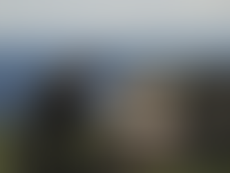 Per amore solo per amore