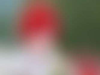 Il calcio, luci ed ombre di uno sport che ha perduto la bellezza del gioco