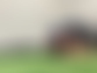 cedar park athlete performing a stretch and mobility exercise