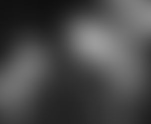 Andrew Carnegie and the Peace Palace