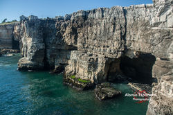 CASCAIS-1